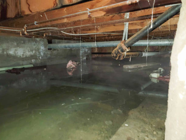 Best Emergency water damage restoration  in Bluewell, WV