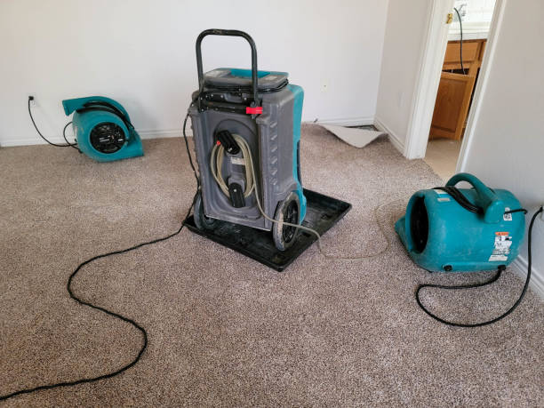 Best Water damage cleanup near me  in Bluewell, WV