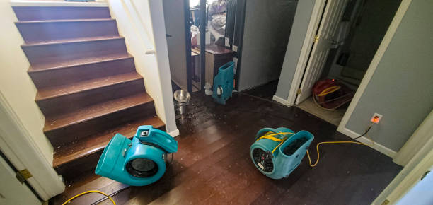 Best Fire Damage Restoration  in Bluewell, WV
