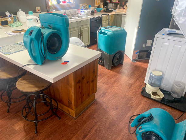 Best Local water damage restoration  in Bluewell, WV