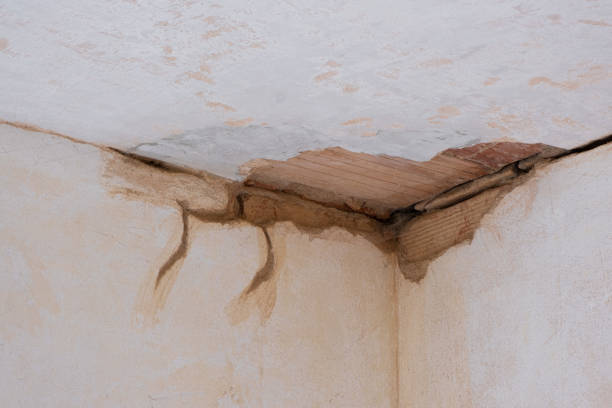 Best 24-hour water damage restoration  in Bluewell, WV