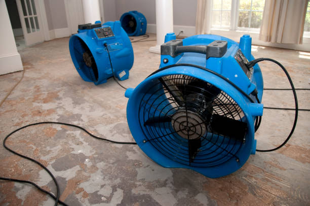 Best Basement water damage restoration  in Bluewell, WV