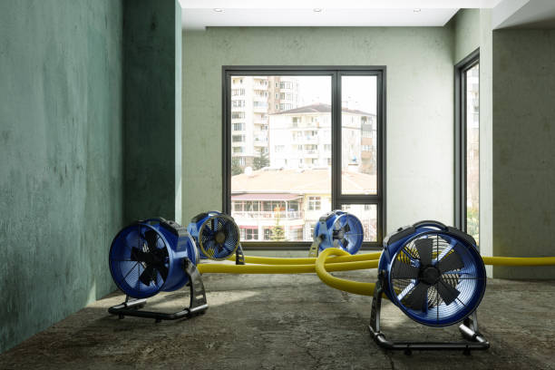 Best Water damage restoration near me  in Bluewell, WV