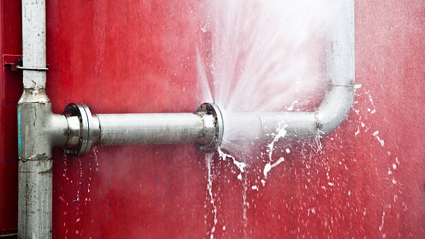 Best Commercial water damage restoration  in Bluewell, WV